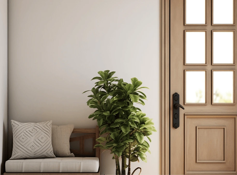 Solid vs. Glazed Doors: Which One Should You Pick?